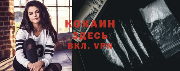 ALPHA PVP Инсар