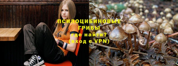 apvp Зеленодольск