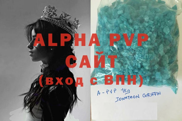 прущие грибы Иннополис