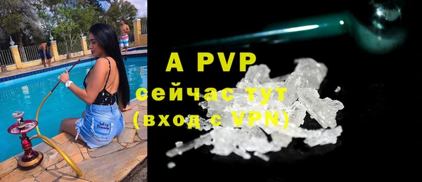 прущие грибы Иннополис