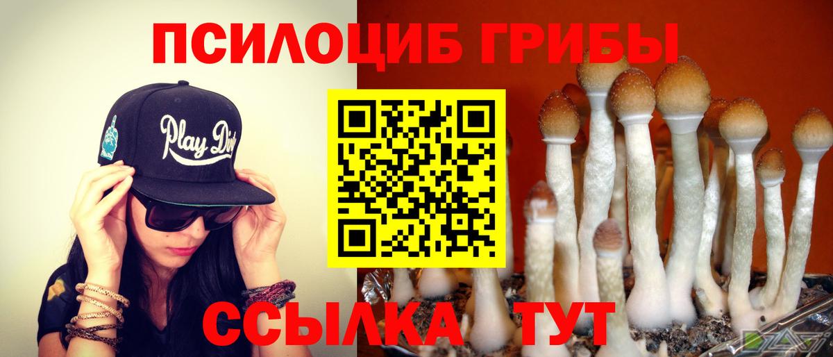 Псилоцибиновые грибы ЛСД Ишимбай